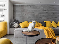 純干貨！家里有寵物的十個(gè)裝飾小建議